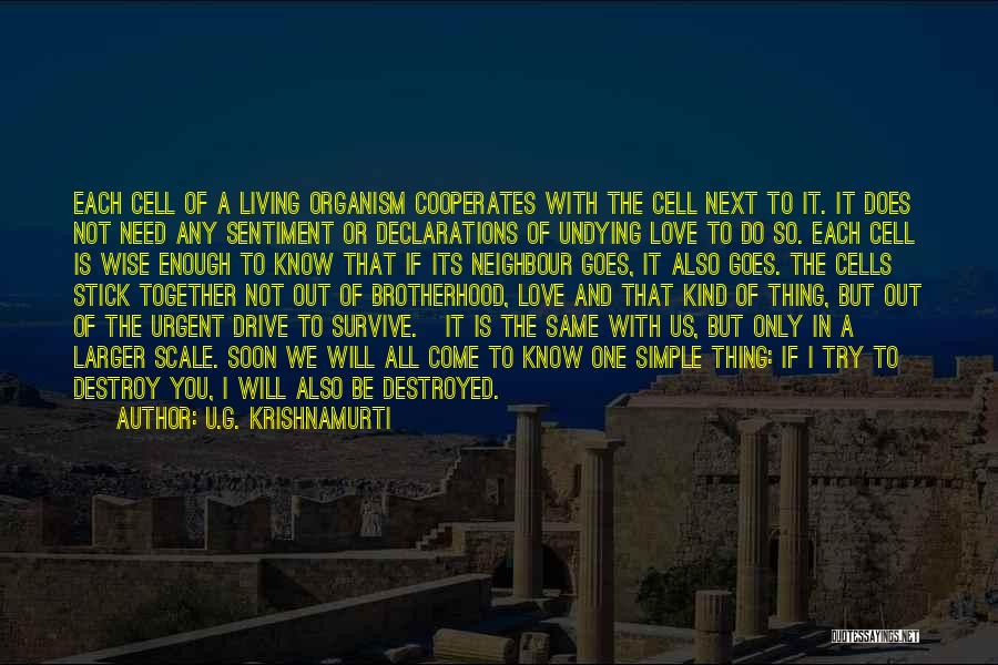 Love Will Survive Quotes By U.G. Krishnamurti