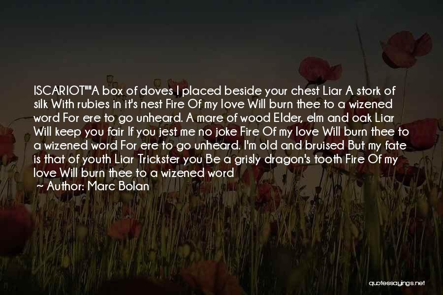 Love Witch Quotes By Marc Bolan