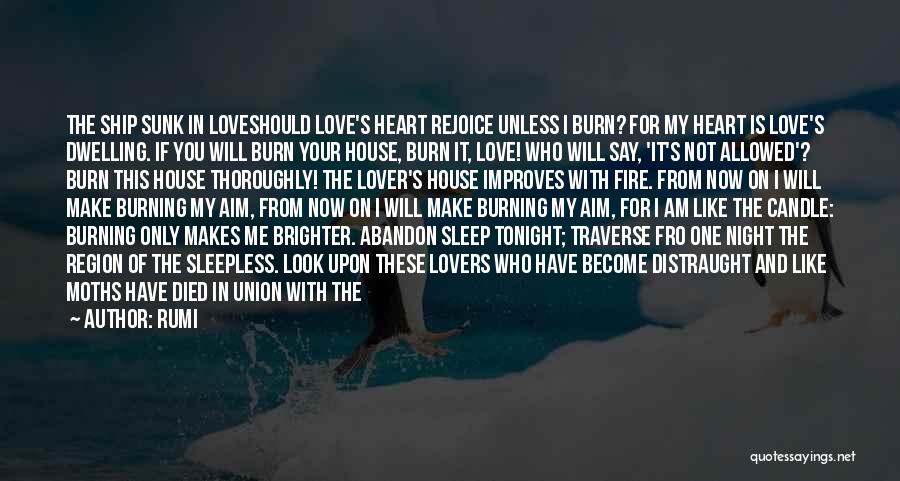 Love With Abandon Quotes By Rumi