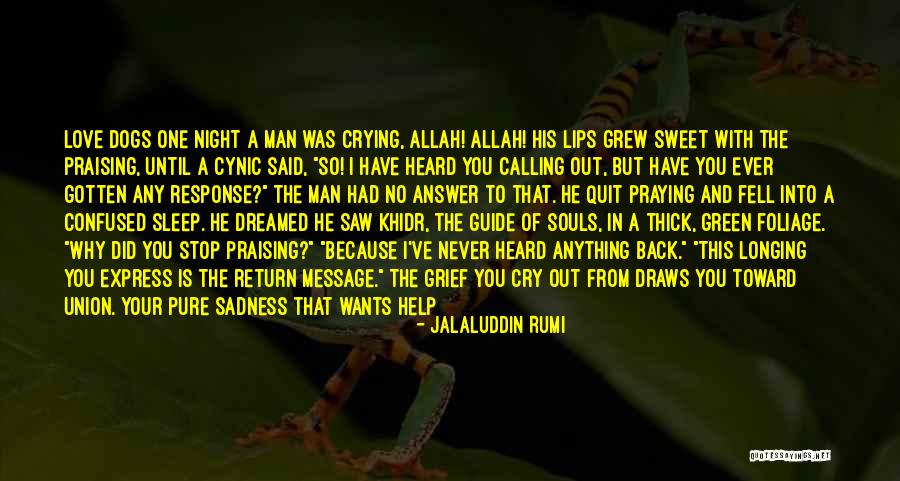 Love With Allah Quotes By Jalaluddin Rumi