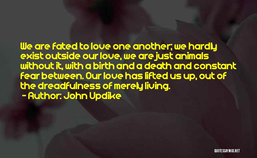 Love Without Fear Quotes By John Updike