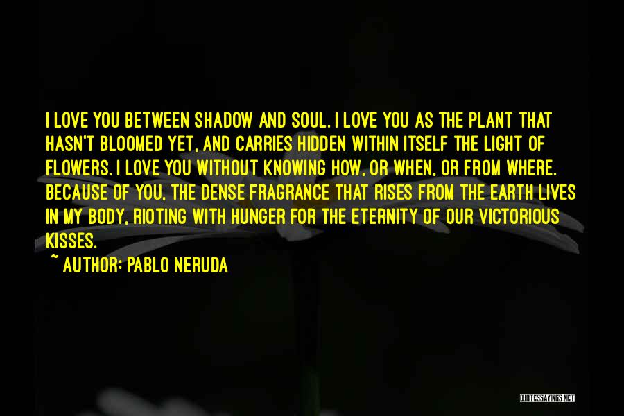 Love Without Knowing Quotes By Pablo Neruda