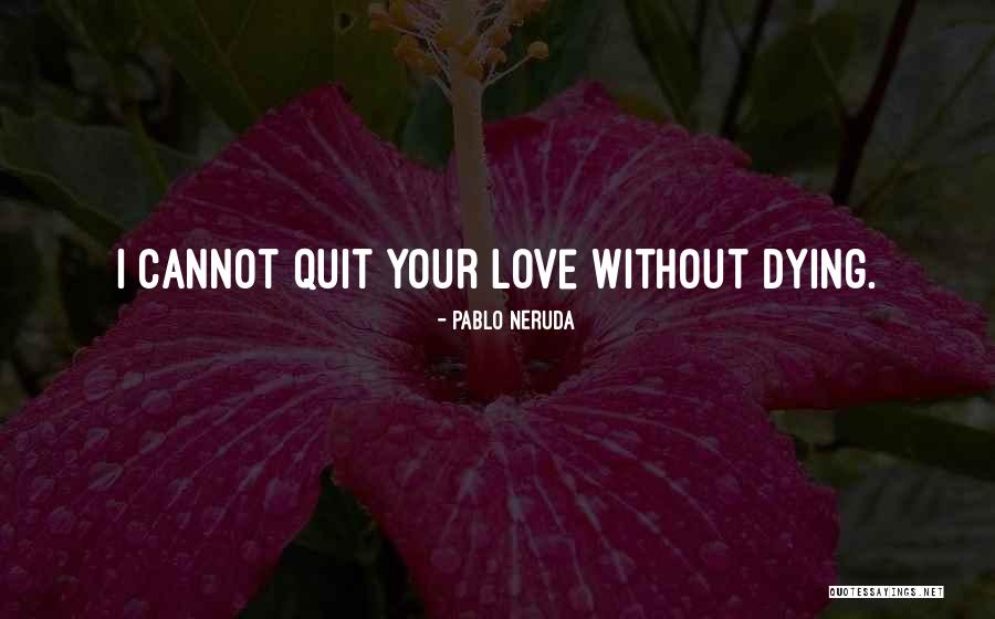 Love Without Passion Quotes By Pablo Neruda