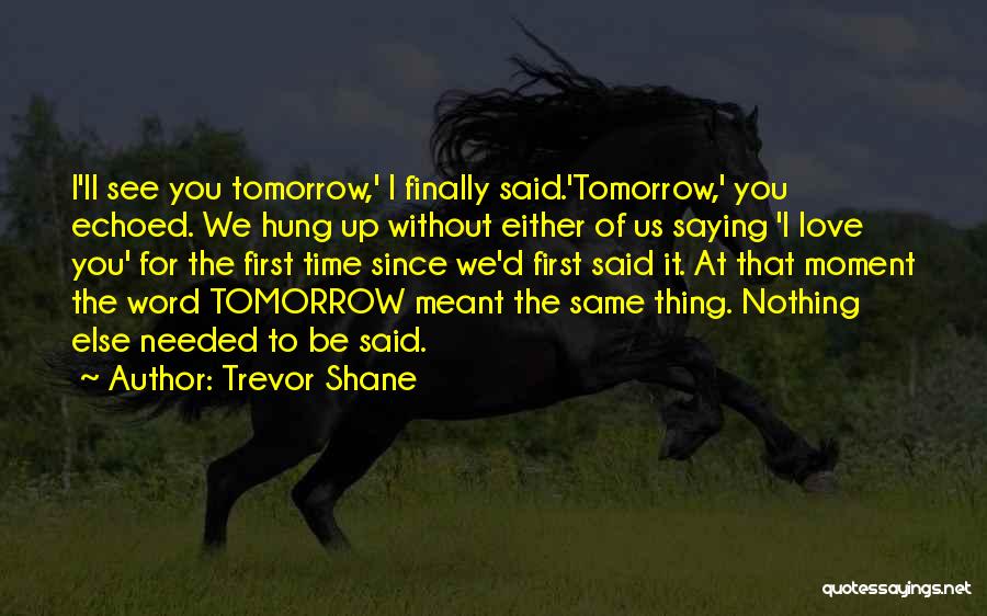 Love Without Saying It Quotes By Trevor Shane