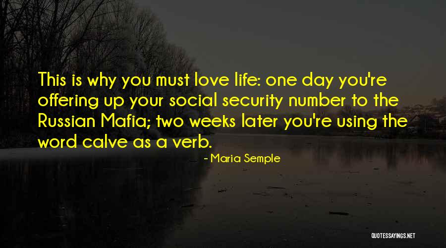 Love Without Using The Word Love Quotes By Maria Semple