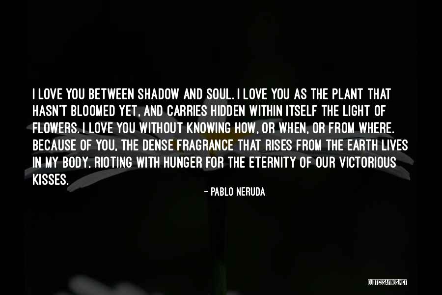 Love You Eternity Quotes By Pablo Neruda Love You Eternity Quotes By Pablo Neruda