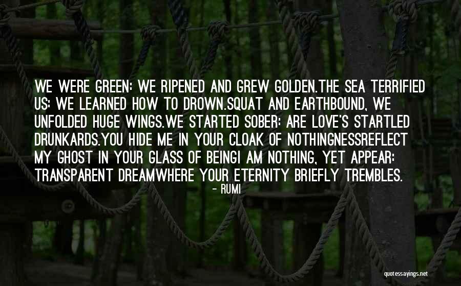 Love You Eternity Quotes By Rumi Love You Eternity Quotes By Rumi