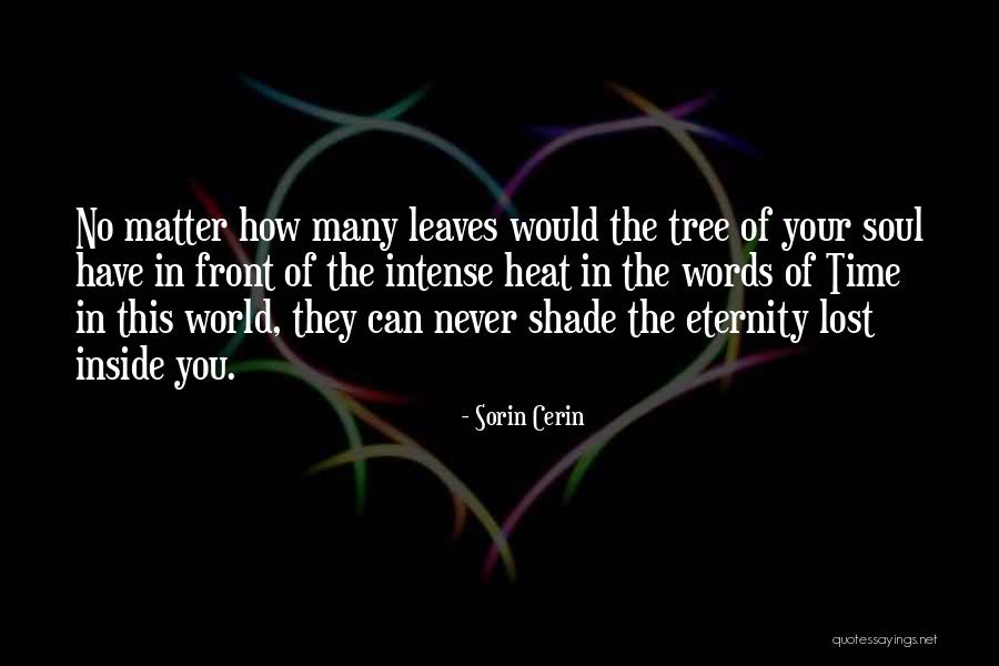 Love You Eternity Quotes By Sorin Cerin Love You Eternity Quotes By Sorin Cerin