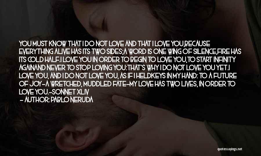 Love You Infinity Quotes By Pablo Neruda