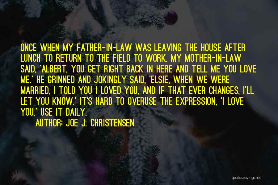 Love You Mother In Law Quotes By Joe J. Christensen