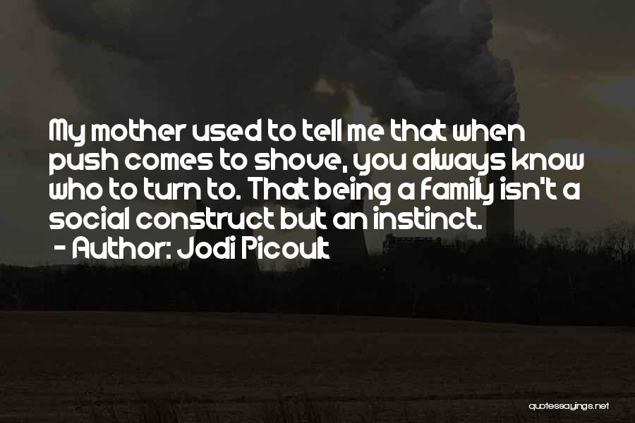Love You Mother Quotes By Jodi Picoult