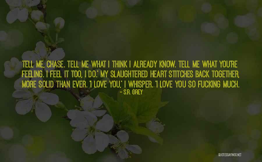 Love You Much More Quotes By S.R. Grey Love You Much More Quotes By S.R. Grey