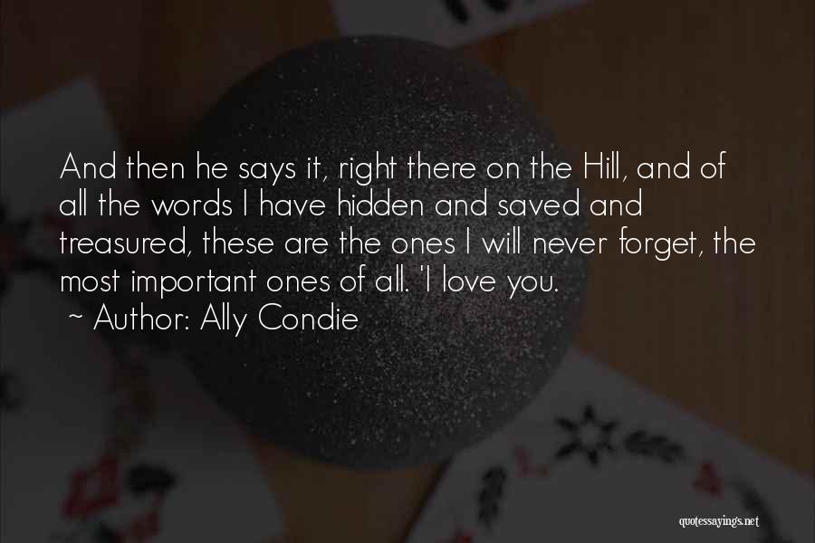Love You Never Forget Quotes By Ally Condie