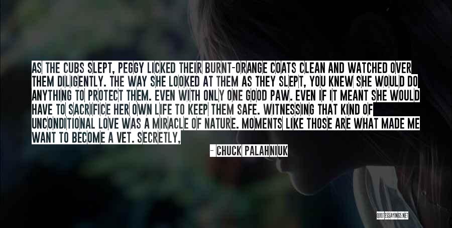 Love You Secretly Quotes By Chuck Palahniuk