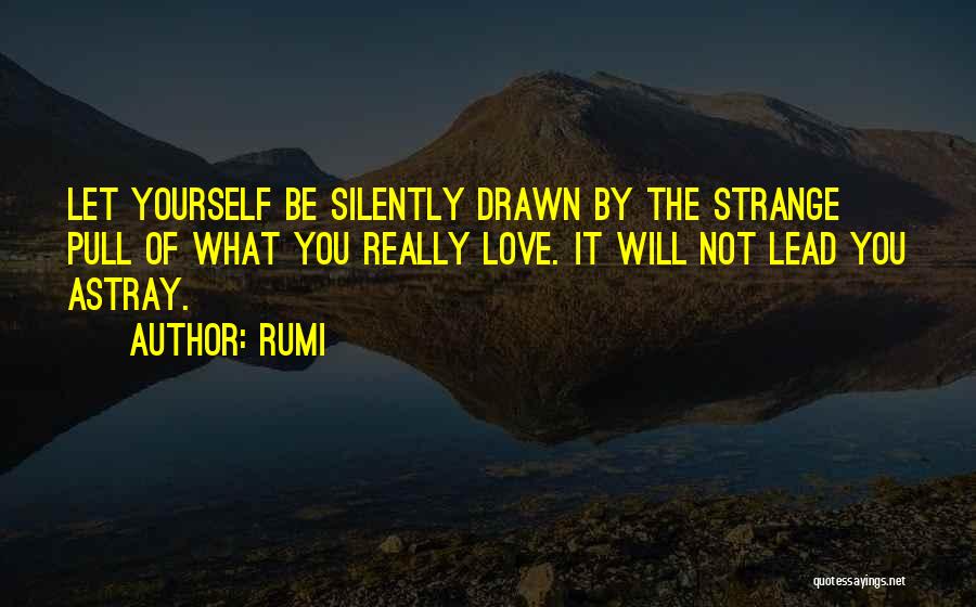 Love You Silently Quotes By Rumi