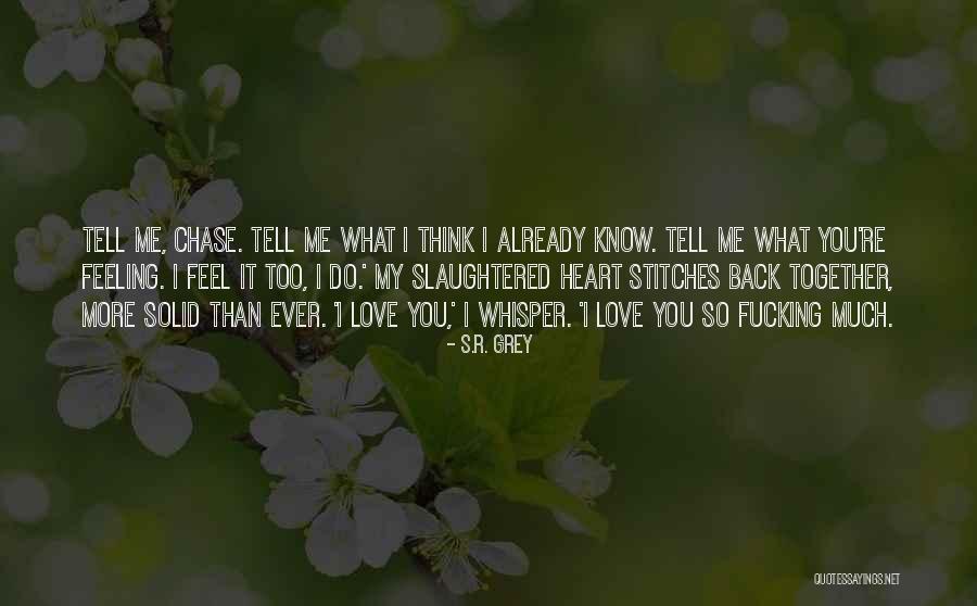 Love You So Much More Quotes By S.R. Grey Love You So Much More Quotes By S.R. Grey