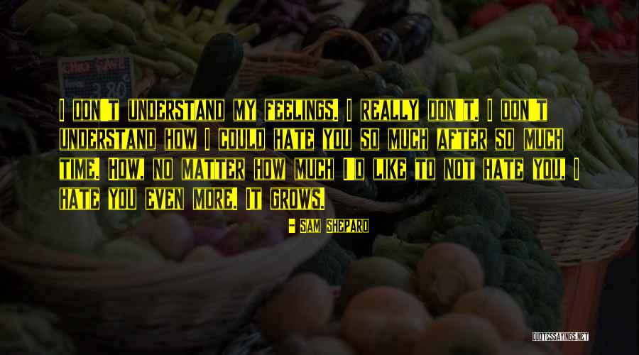 Love You So Much More Quotes By Sam Shepard Love You So Much More Quotes By Sam Shepard