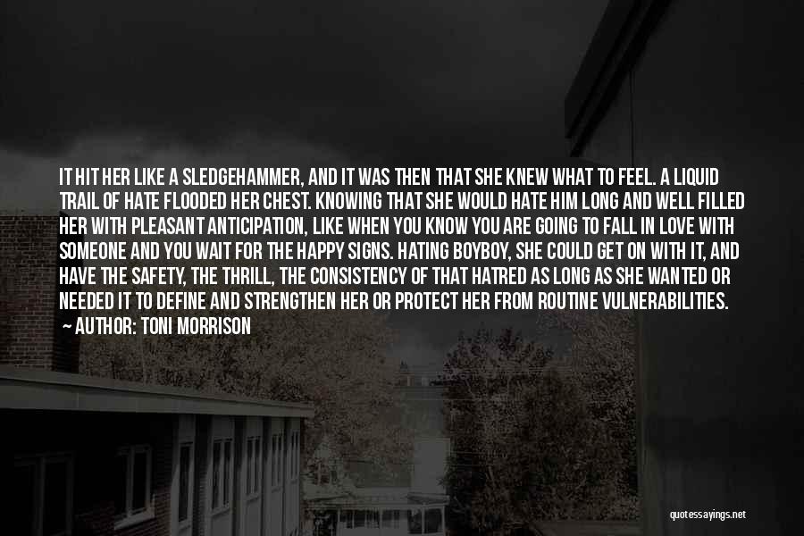 Love You Then Hate You Quotes By Toni Morrison