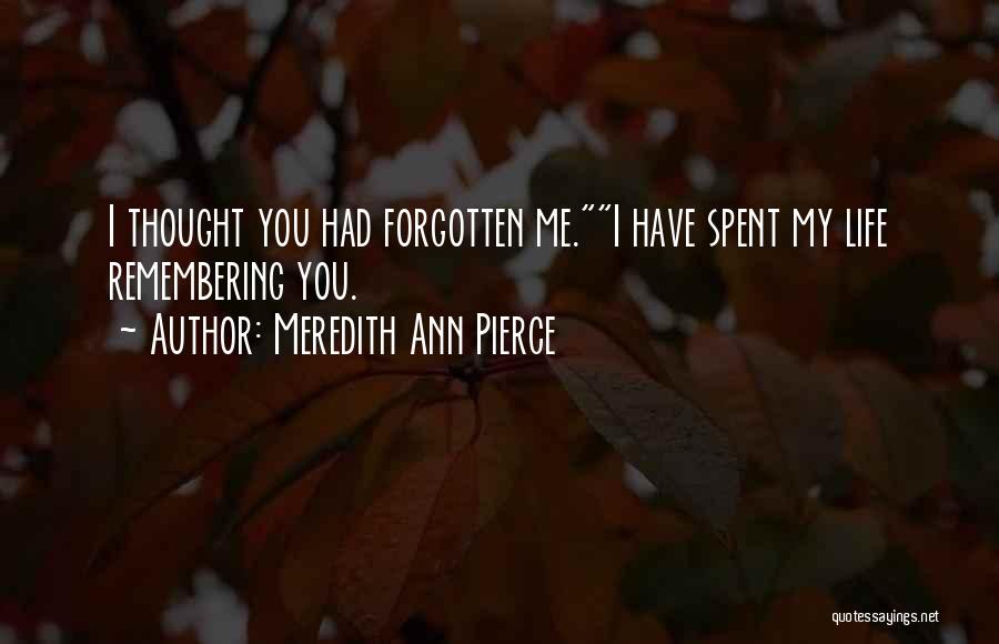 Love You Thought You Had Quotes By Meredith Ann Pierce