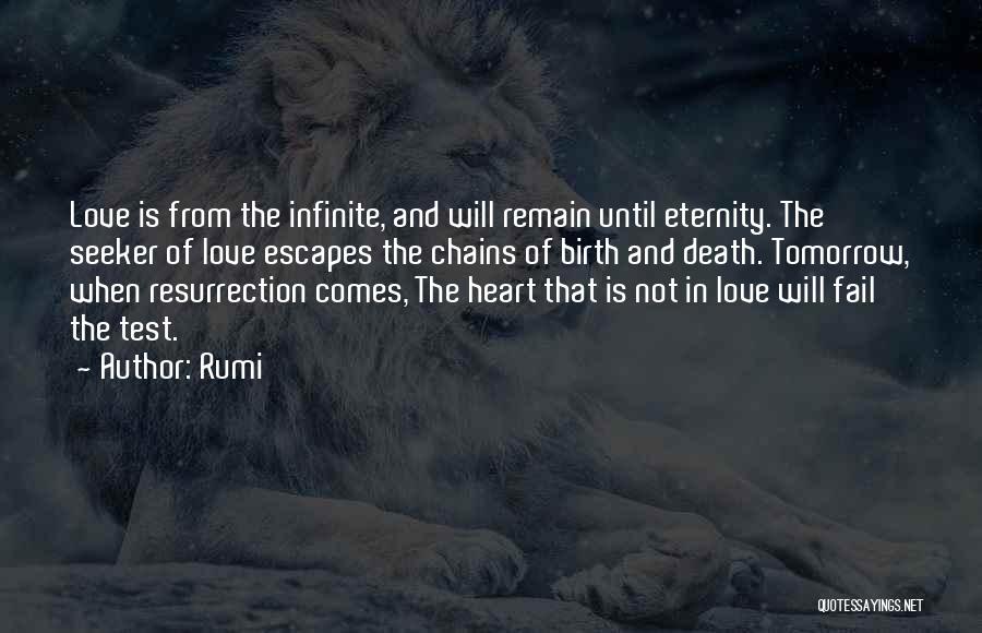 Love You Till Eternity Quotes By Rumi