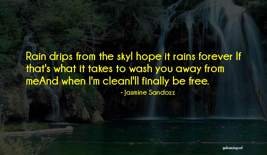 Love You Till Forever Quotes By Jasmine Sandozz