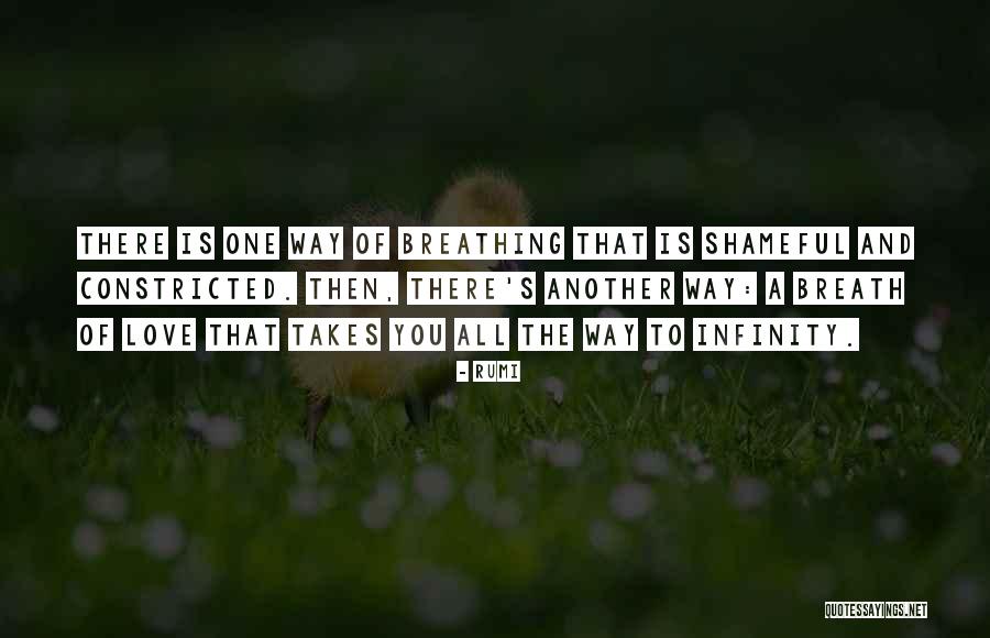 Love You To Infinity Quotes By Rumi Love You To Infinity Quotes By Rumi