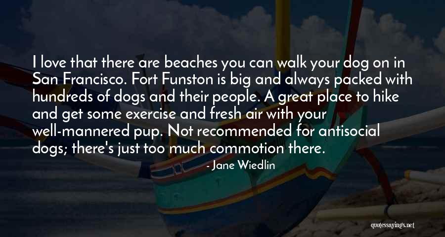 Love You Too Much Quotes By Jane Wiedlin Love You Too Much Quotes By Jane Wiedlin