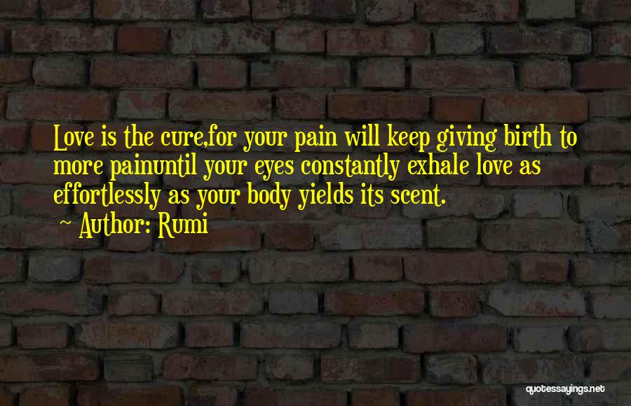 Love Your Body Quotes By Rumi