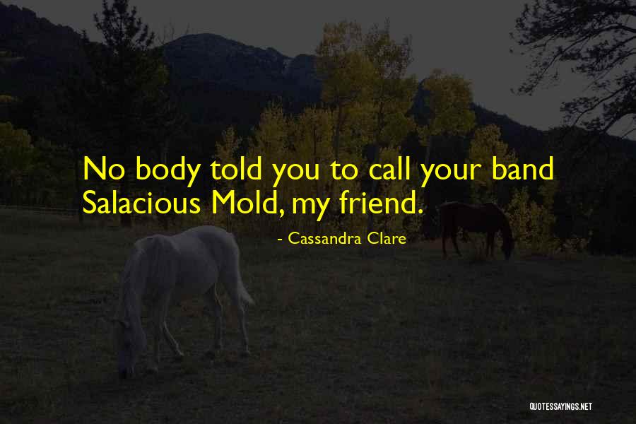 Love Your Friend Quotes By Cassandra Clare