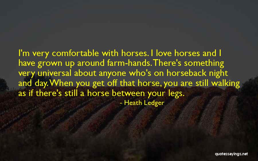 Love Your Horse Quotes By Heath Ledger Love Your Horse Quotes By Heath Ledger