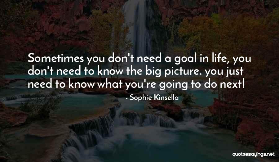 Love Your Life Picture Quotes By Sophie Kinsella