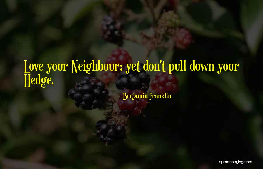 Love Your Neighbor Quotes By Benjamin Franklin