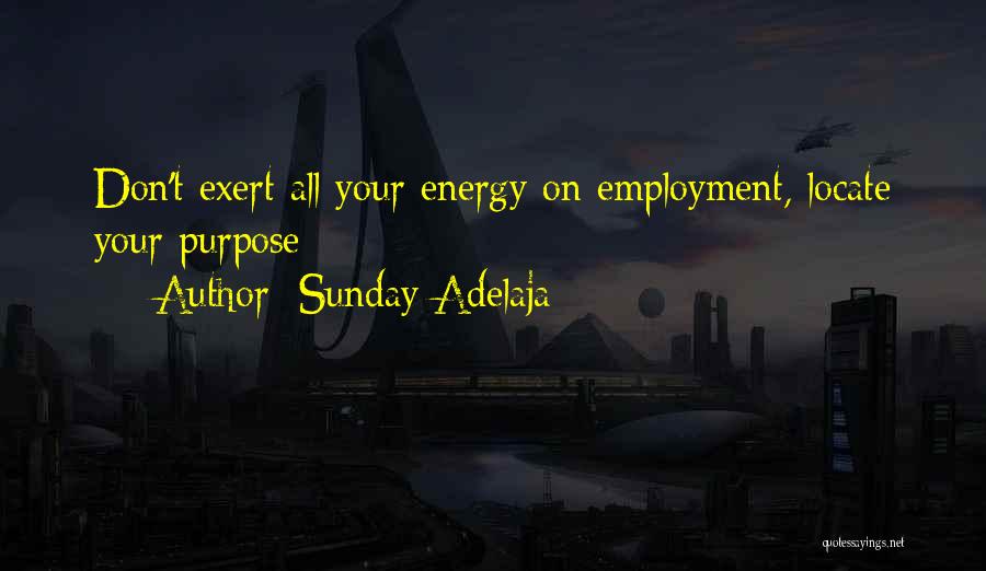 Love Your Passion Quotes By Sunday Adelaja