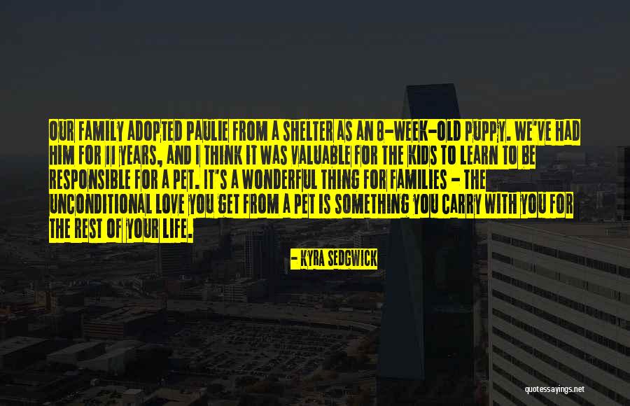Love Your Pet Quotes By Kyra Sedgwick