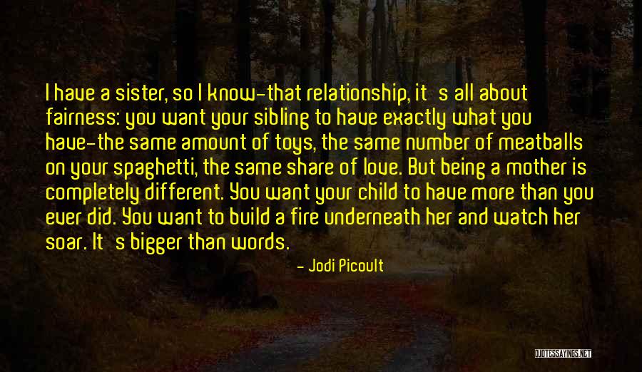 Love Your Sister Quotes By Jodi Picoult