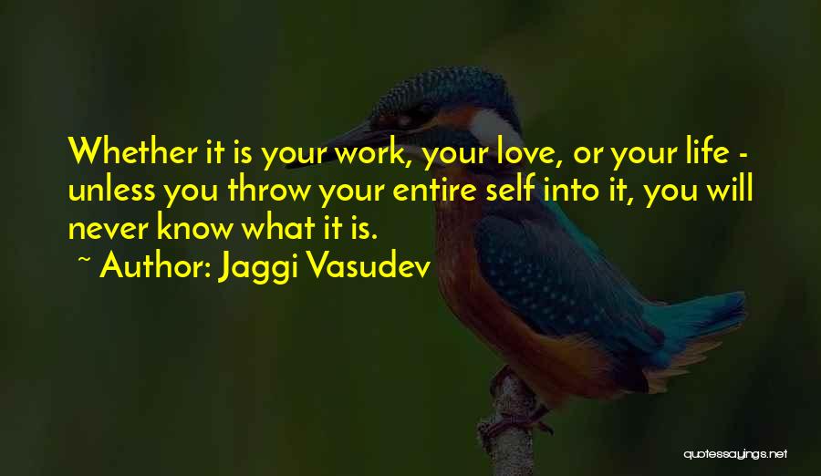 Love Your Work Quotes By Jaggi Vasudev