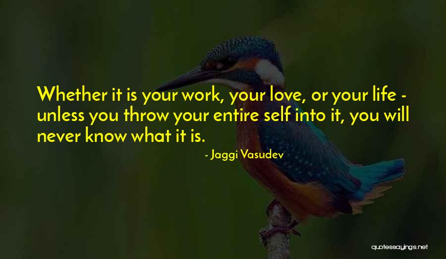 Love Your Work Quotes By Jaggi Vasudev Love Your Work Quotes By Jaggi Vasudev