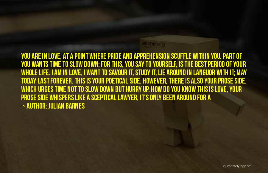 Love Yourself Love Your Life Quotes By Julian Barnes Love Yourself Love Your Life Quotes By Julian Barnes
