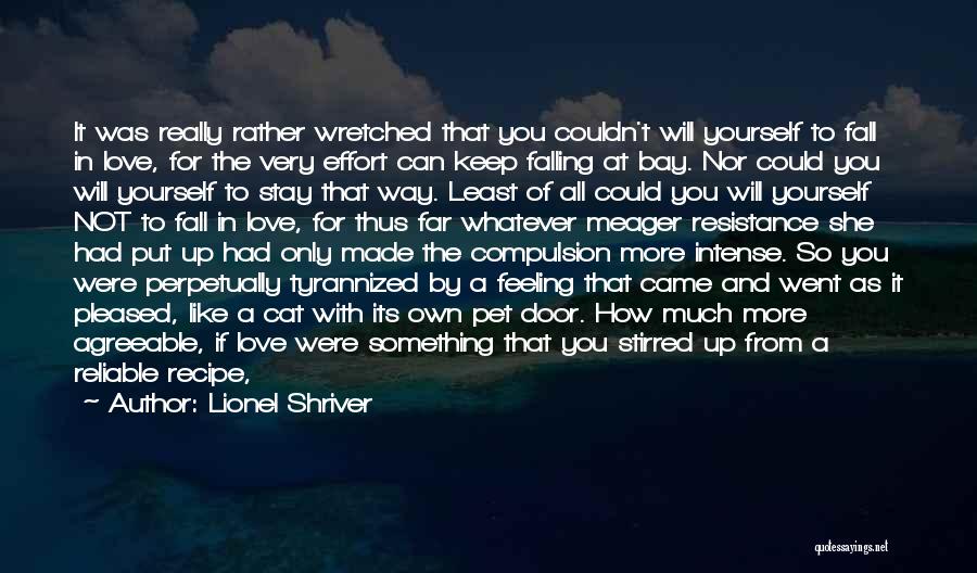 Love Yourself So Much Quotes By Lionel Shriver