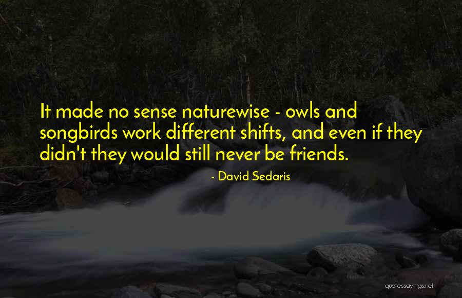 Lovecky Moravia Quotes By David Sedaris Lovecky Moravia Quotes By David Sedaris