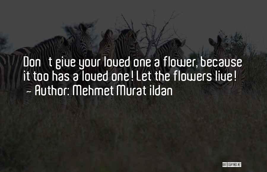 Loved One Quotes By Mehmet Murat Ildan