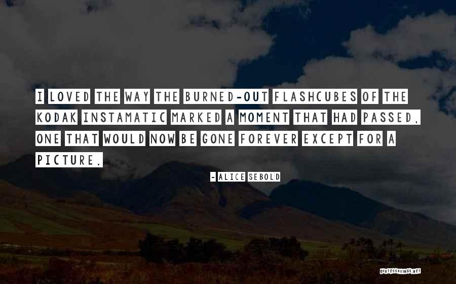 Loved Ones Passed Quotes By Alice Sebold Loved Ones Passed Quotes By Alice Sebold