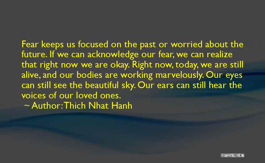 Loved Ones Past Quotes By Thich Nhat Hanh
