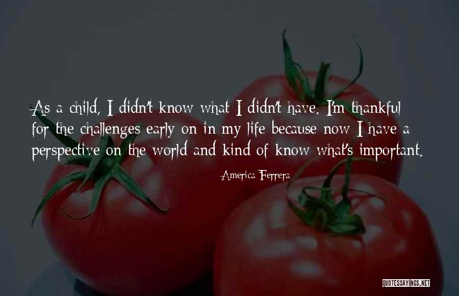 Lovegroves Fenton Quotes By America Ferrera Lovegroves Fenton Quotes By America Ferrera