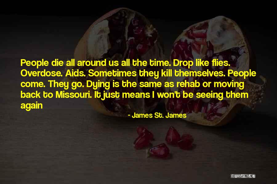 Lovelessness Quotes By James St. James Lovelessness Quotes By James St. James