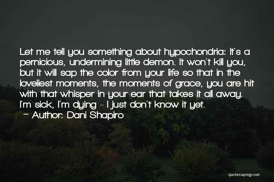Loveliest Life Quotes By Dani Shapiro