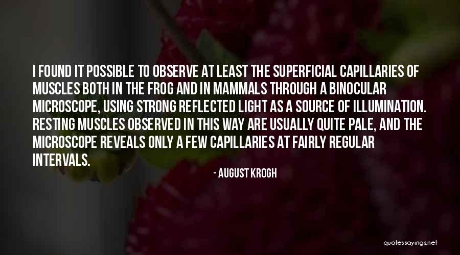 Loveliness Quilt Quotes By August Krogh Loveliness Quilt Quotes By August Krogh