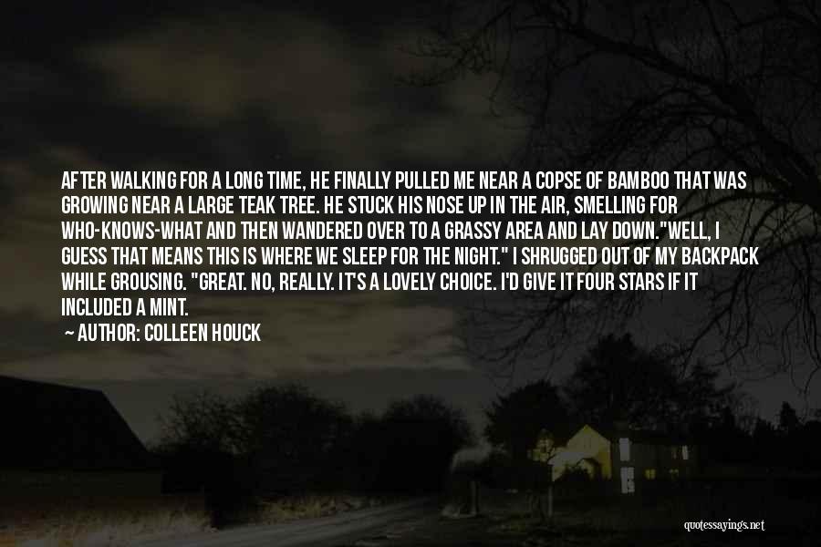 Lovely Night Quotes By Colleen Houck