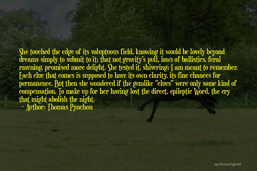 Lovely Night Quotes By Thomas Pynchon