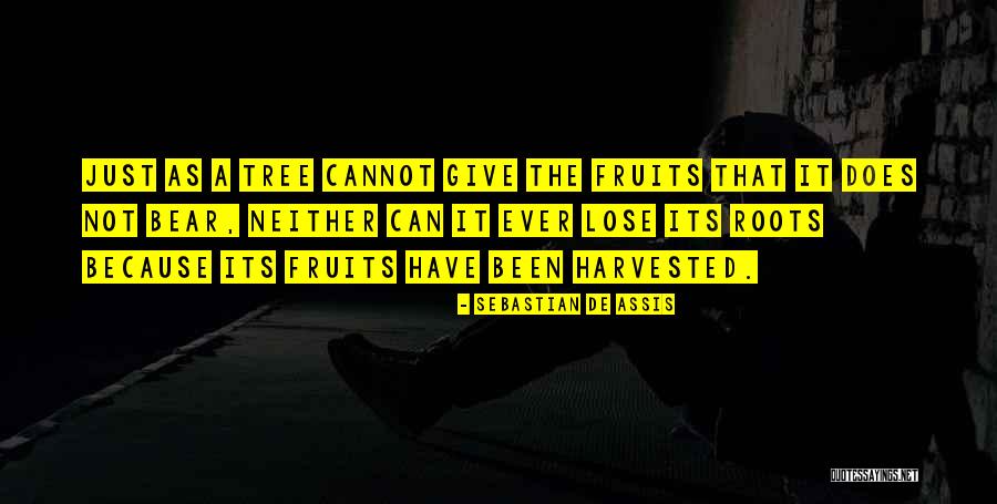 Lovely Sms Quotes By Sebastian De Assis Lovely Sms Quotes By Sebastian De Assis